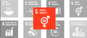 SDG 5: Gender Equality Red Icon