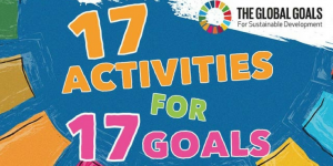 17 activities for 17 goals